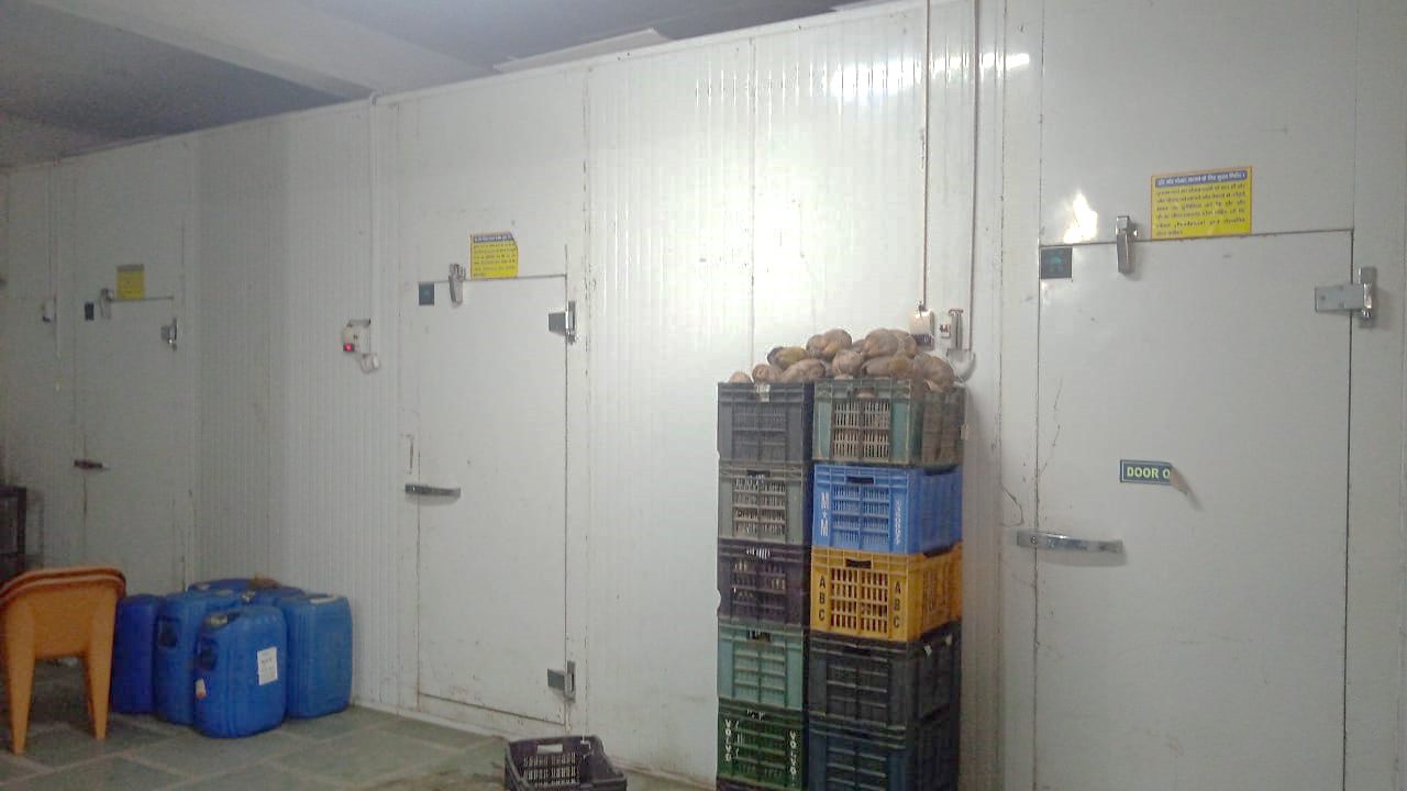 Interior of a cold store with stacked produce crates.
