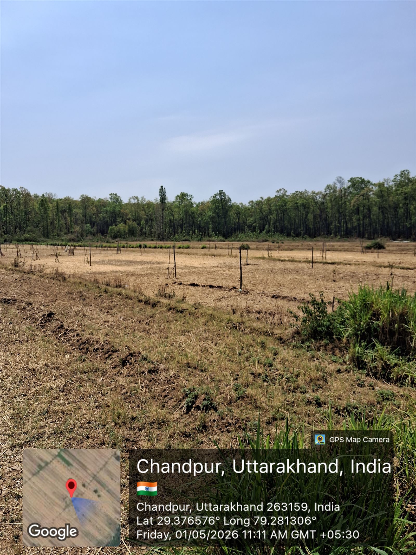A prepared field bounded by trees.
