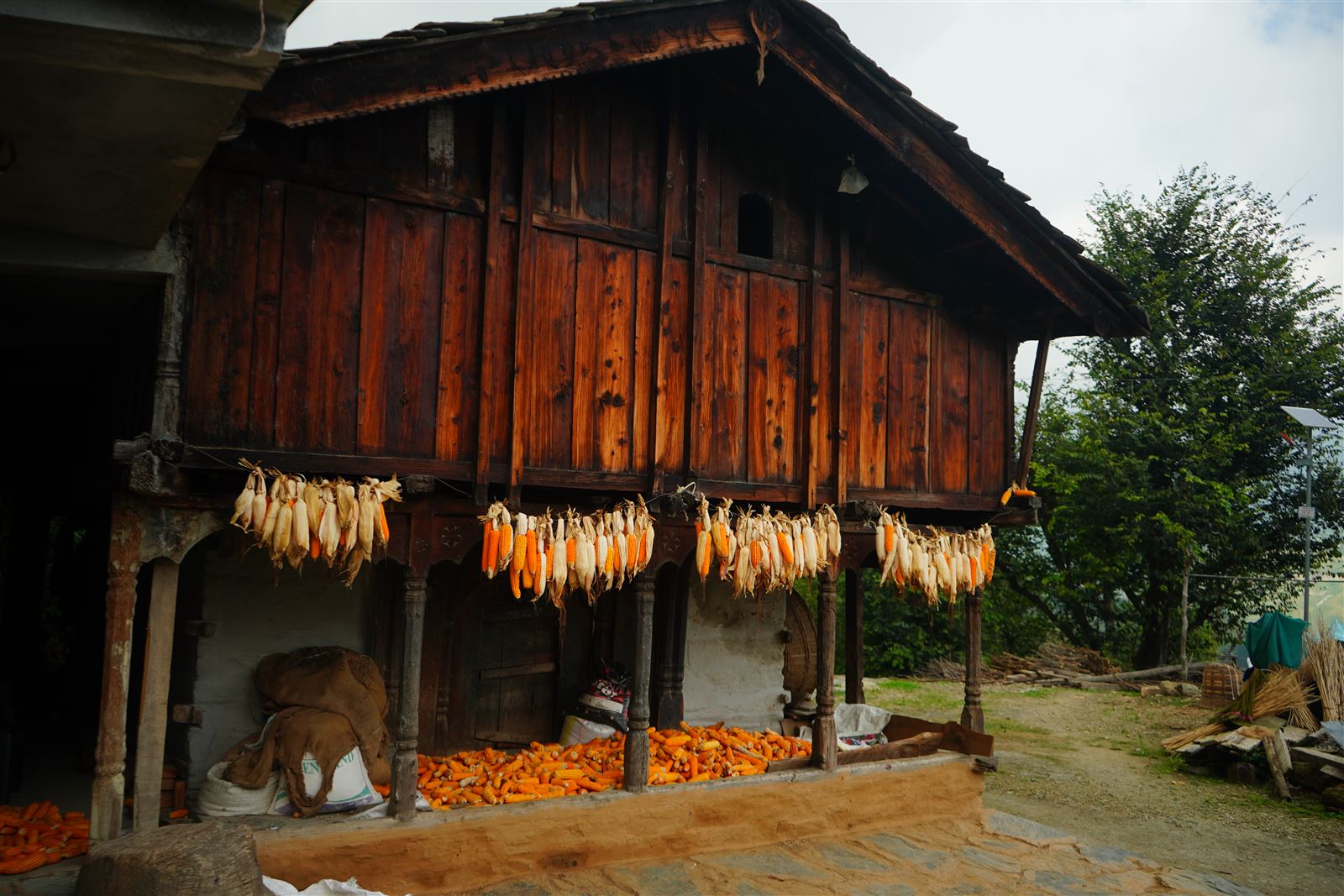 Maize cobs hung to dry along the front of a traditional hill house.