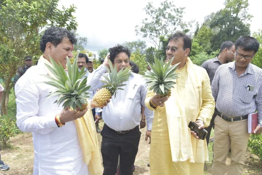 Officials holding pineapples at a field presentation.