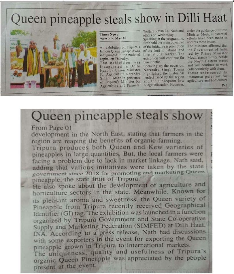 Newspaper clipping headlined 'Queen pineapple steals show in Dilli Haat'.