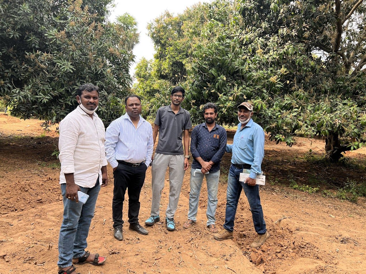 Qseal team standing in a mango orchard.